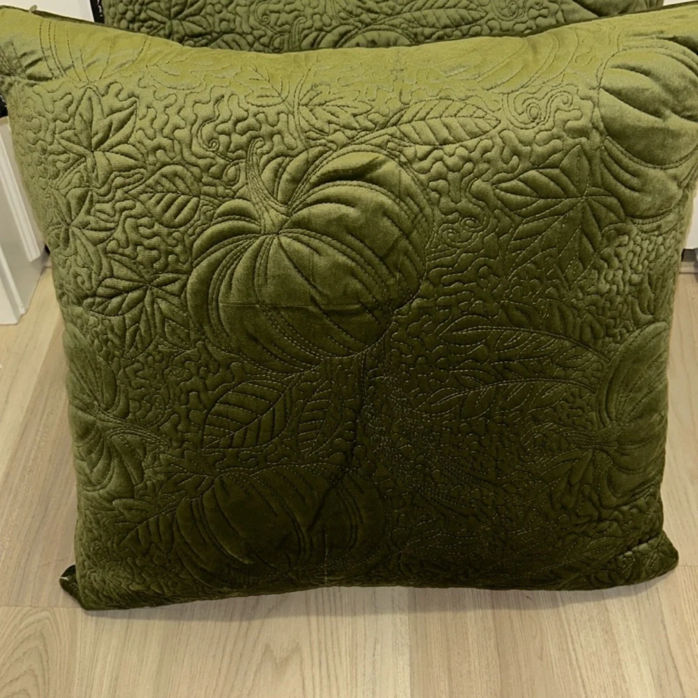 TAHARI HOME Down Alternative Pillows Green NWOT Decorative Plush Textured